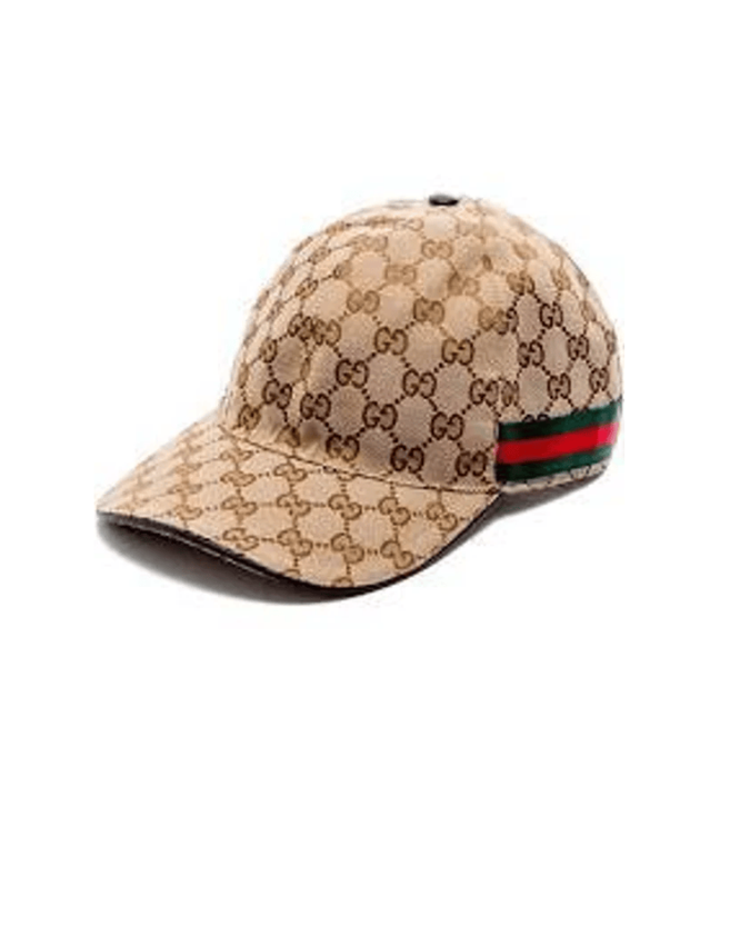Gucci Pet Bruin