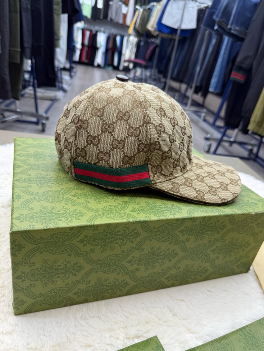 Gucci Pet Bruin