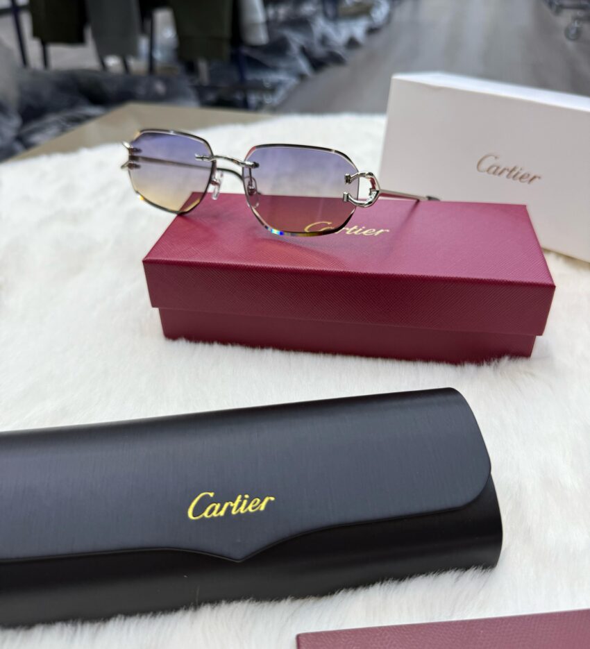 Cartier Diamond C-Decor Silver Light Blue Glasses - Afbeelding 2