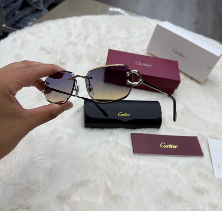 Cartier Diamond C-Decor Silver Light Blue Glasses - Afbeelding 4