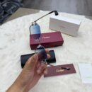 Cartier Diamond Blue Zonnebril Silver