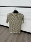 Christian Dior Small Oblique T-Shirt Orange