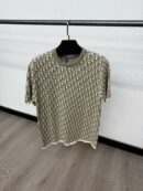 Christian Dior Small Oblique T-Shirt Orange